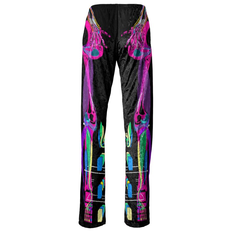 Anatomy pants #2