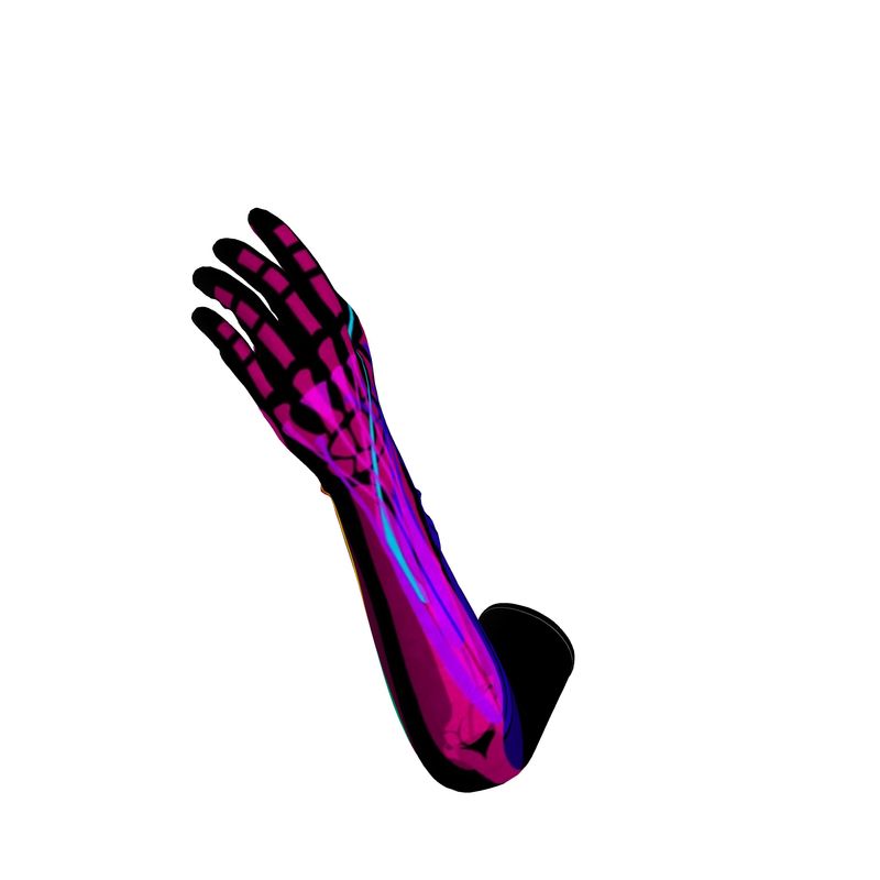 Anatomy Gloves